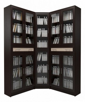 Шкаф книжный Мебелайн-29 в Верхней Салде - verhnyaya-salda.ok-mebel.com | фото