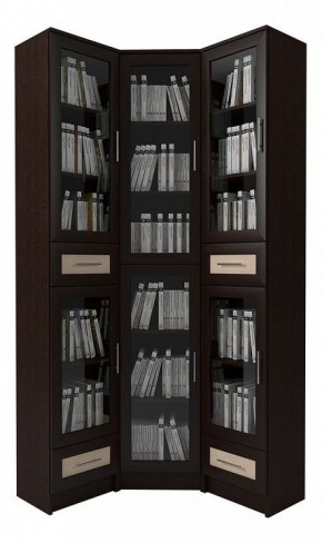 Шкаф книжный Мебелайн-46 в Верхней Салде - verhnyaya-salda.ok-mebel.com | фото