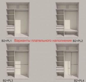 Шкаф-купе 1500 серии SILVER S1+S1+B2+PL2 (2 ящика+1 штанга+1 полка) профиль «Серебро» в Верхней Салде - verhnyaya-salda.ok-mebel.com | фото 6