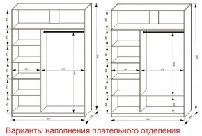 Шкаф-купе 1600 серии SOFT D6+D4+B2+PL2 (2 ящика+1штанга+1 полка) профиль «Капучино» в Верхней Салде - verhnyaya-salda.ok-mebel.com | фото 8