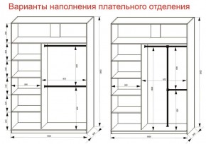 Шкаф-купе 1600 серии SOFT D6+D4+B2+PL2 (2 ящика+1штанга+1 полка) профиль «Капучино» в Верхней Салде - verhnyaya-salda.ok-mebel.com | фото 9