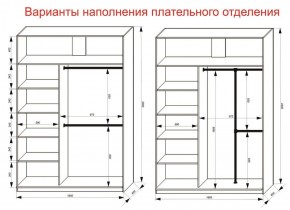 Шкаф-купе 1600 серии SOFT D6+D6+B2+PL3 (2 ящика+2штанги) профиль «Капучино» в Верхней Салде - verhnyaya-salda.ok-mebel.com | фото 7