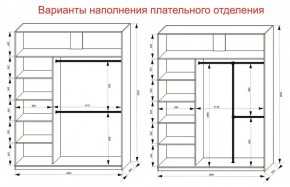 Шкаф-купе 1800 серии SOFT D1+D3+B2+PL1 (2 ящика+1штанга) профиль «Графит» в Верхней Салде - verhnyaya-salda.ok-mebel.com | фото 7