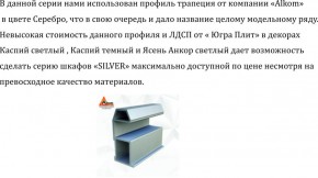 Шкаф-купе 2250 серии SILVER S3+S1+S3Z B22+PL2 (по 2 ящика лев/прав+1штанга+1 полка) профиль «Серебро» в Верхней Салде - verhnyaya-salda.ok-mebel.com | фото 4