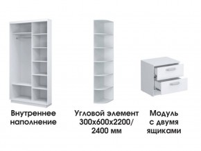 Шкаф-купе «ТАНДЕМ» 2-х дверный в белом профиле (Дверь ЛДСП+Z) 1600/h2200 в Верхней Салде - verhnyaya-salda.ok-mebel.com | фото 3