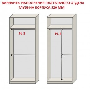 Шкаф распашной серия «ЗЕВС» (PL3/С1/PL2) Серый камень/Небраска натуральный в Верхней Салде - verhnyaya-salda.ok-mebel.com | фото 10
