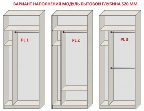 Шкаф распашной серия «ЗЕВС» (PL3/С1/PL2) Серый камень/Небраска натуральный в Верхней Салде - verhnyaya-salda.ok-mebel.com | фото 5