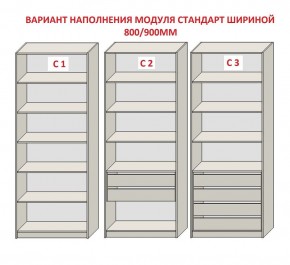 Шкаф распашной серия «ЗЕВС» (PL3/С1/PL2) Серый камень/Небраска натуральный в Верхней Салде - verhnyaya-salda.ok-mebel.com | фото 6