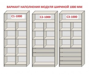 Шкаф распашной серия «ЗЕВС» (PL3/С1/PL2) Серый камень/Небраска натуральный в Верхней Салде - verhnyaya-salda.ok-mebel.com | фото 7