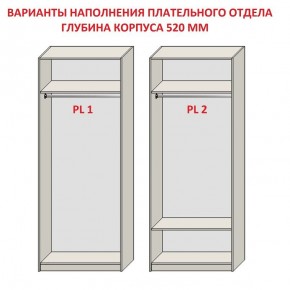 Шкаф распашной серия «ЗЕВС» (PL3/С1/PL2) Серый камень/Небраска натуральный в Верхней Салде - verhnyaya-salda.ok-mebel.com | фото 9
