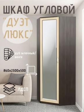 Шкаф угловой Дуэт Люкс с зеркалом в Верхней Салде - verhnyaya-salda.ok-mebel.com | фото 5