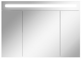Шкаф-зеркало Аврора 100 с подсветкой LED Домино (DV8012HZ) в Верхней Салде - verhnyaya-salda.ok-mebel.com | фото