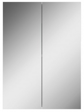 Шкаф-зеркало Норма 50 2 двери АЙСБЕРГ (DA1636HZ) в Верхней Салде - verhnyaya-salda.ok-mebel.com | фото 4