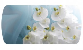 Стол Бостон-3 (Белая Орхидея) 1100/1420*700, опора Брифинг в Верхней Салде - verhnyaya-salda.ok-mebel.com | фото 2