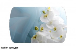 Стол Бостон 900*600 (опоры Брифинг) Стекло/фотопечать Белая Орхидея в Верхней Салде - verhnyaya-salda.ok-mebel.com | фото