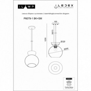 Светильник на штанге iLamp Mono P6079-1 BK+WH в Верхней Салде - verhnyaya-salda.ok-mebel.com | фото 3