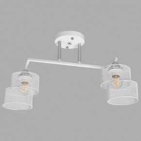 Светильник на штанге Imex MD.4252 MD.4252-2-S-WH+CH в Верхней Салде - verhnyaya-salda.ok-mebel.com | фото
