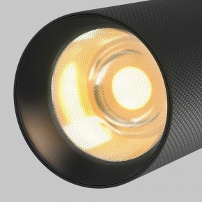 Светильник на штанге Maytoni Artisan TR097-2-12W2.7K-M-BB в Верхней Салде - verhnyaya-salda.ok-mebel.com | фото 9