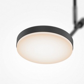 Светильник на штанге Maytoni Fad MOD070CL-L8B3K в Верхней Салде - verhnyaya-salda.ok-mebel.com | фото 4