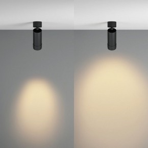 Светильник на штанге Maytoni Focus Zoom C055CL-L12W2.7K-Z-B в Верхней Салде - verhnyaya-salda.ok-mebel.com | фото 3