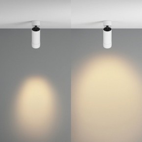 Светильник на штанге Maytoni Focus Zoom C055CL-L12W2.7K-Z-W в Верхней Салде - verhnyaya-salda.ok-mebel.com | фото 3