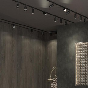 Светильник на штанге Novotech Elina 370777 в Верхней Салде - verhnyaya-salda.ok-mebel.com | фото 4