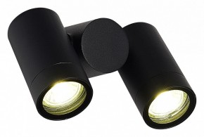 Светильник на штанге ST-Luce Ecollo SL9011.402.02 в Верхней Салде - verhnyaya-salda.ok-mebel.com | фото 3