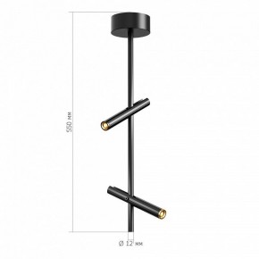 Светильник на штанге ST-Luce LILT SL6210.403.02 в Верхней Салде - verhnyaya-salda.ok-mebel.com | фото 3