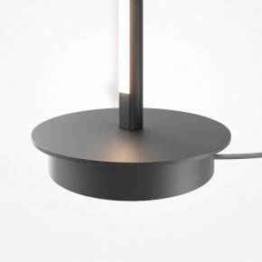 Торшер Maytoni Thin MOD395FL-L28B3K в Верхней Салде - verhnyaya-salda.ok-mebel.com | фото 8