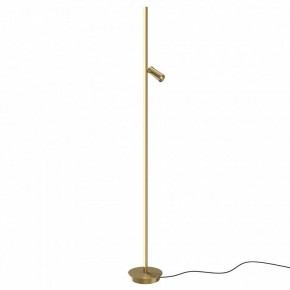 Торшер Maytoni Thin MOD395FL-L28BS3K в Верхней Салде - verhnyaya-salda.ok-mebel.com | фото