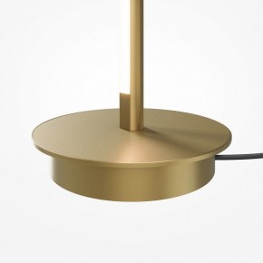 Торшер Maytoni Thin MOD395FL-L28BS3K в Верхней Салде - verhnyaya-salda.ok-mebel.com | фото 7