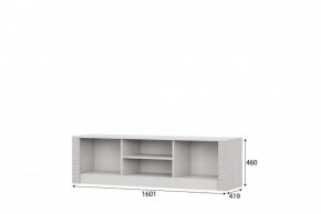 ГАММА 20 Тумба для ТВА (1600) Серия №4 в Верхней Салде - verhnyaya-salda.ok-mebel.com | фото 3