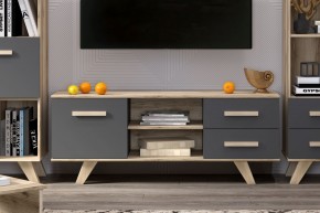 Тумба под ТВ Вега Скандинавия в Верхней Салде - verhnyaya-salda.ok-mebel.com | фото 7