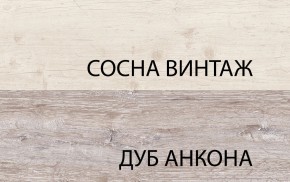 Тумба RTV 1D2SN, MONAKO, цвет Сосна винтаж/дуб анкона в Верхней Салде - verhnyaya-salda.ok-mebel.com | фото 3