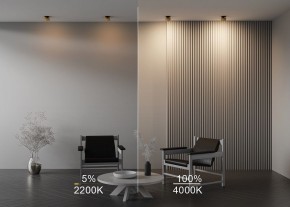 Встраиваемый светильник Maytoni Onda DL024-12W-DTW-BMG в Верхней Салде - verhnyaya-salda.ok-mebel.com | фото 9