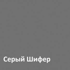 Юнона Шкаф торцевой 13.221 в Верхней Салде - verhnyaya-salda.ok-mebel.com | фото 2