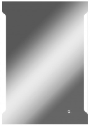 Зеркало Оттава 1000х700 с подсветкой Домино (GL7028Z) в Верхней Салде - verhnyaya-salda.ok-mebel.com | фото 1